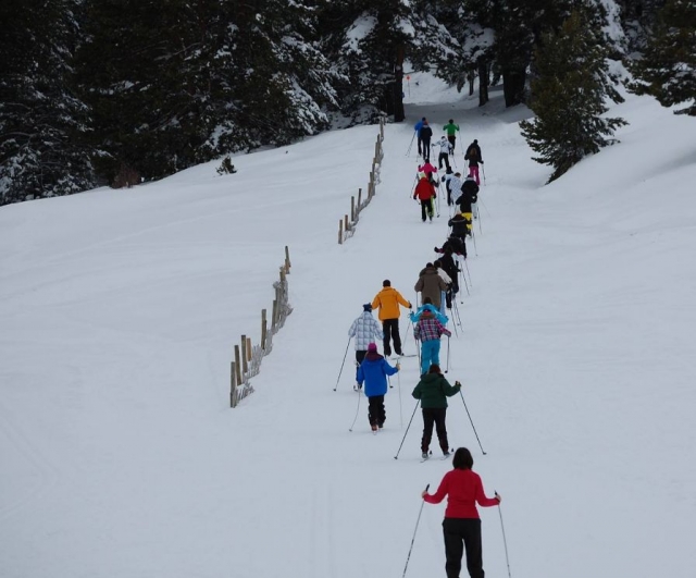  我们排成一列前进 